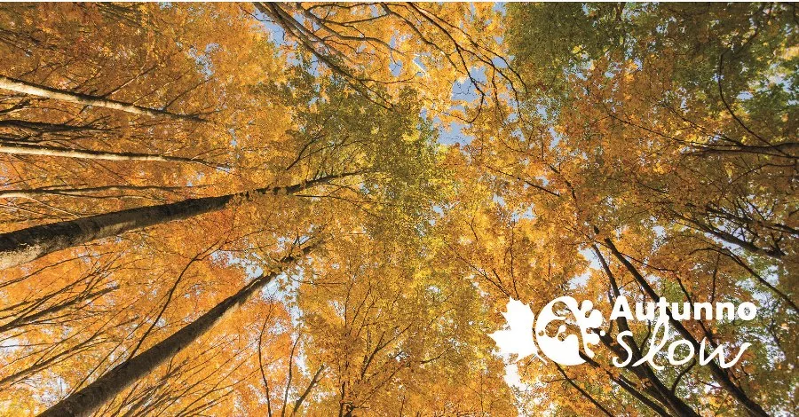 Autunno Slow al Parco delle Foreste Casentinesi