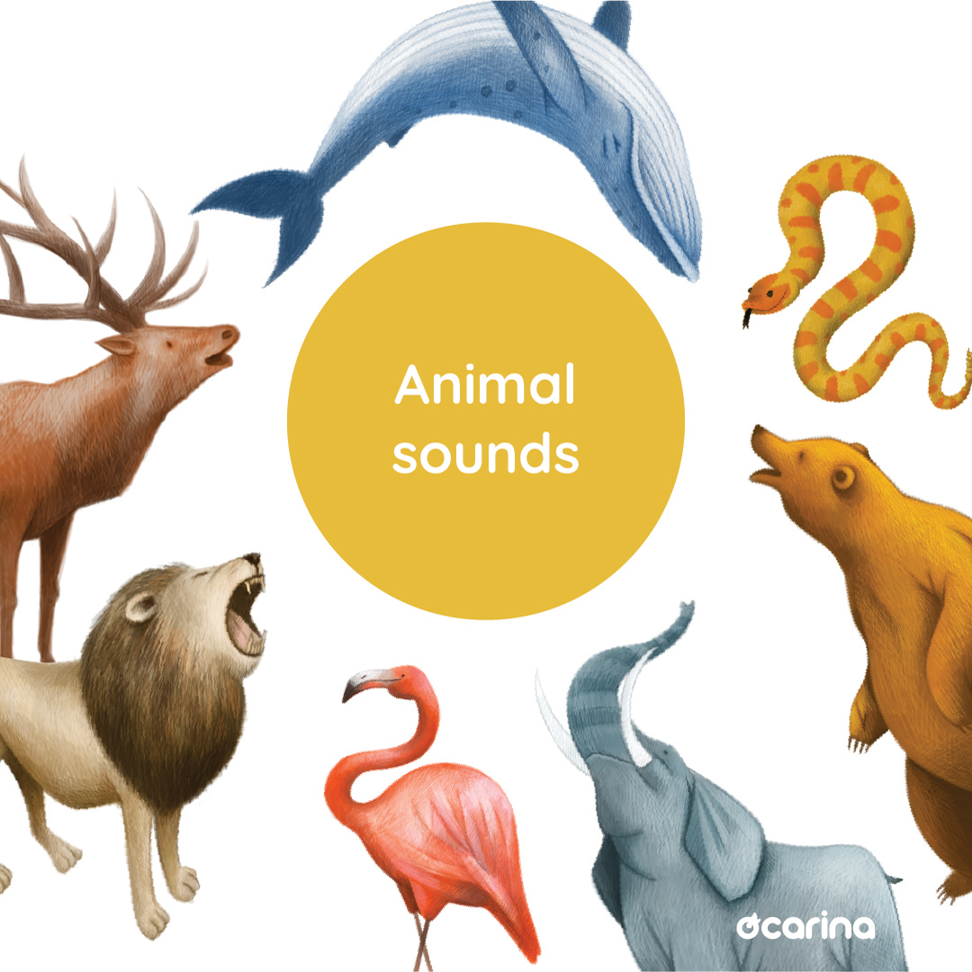 Animal Sounds - Ocarina Player