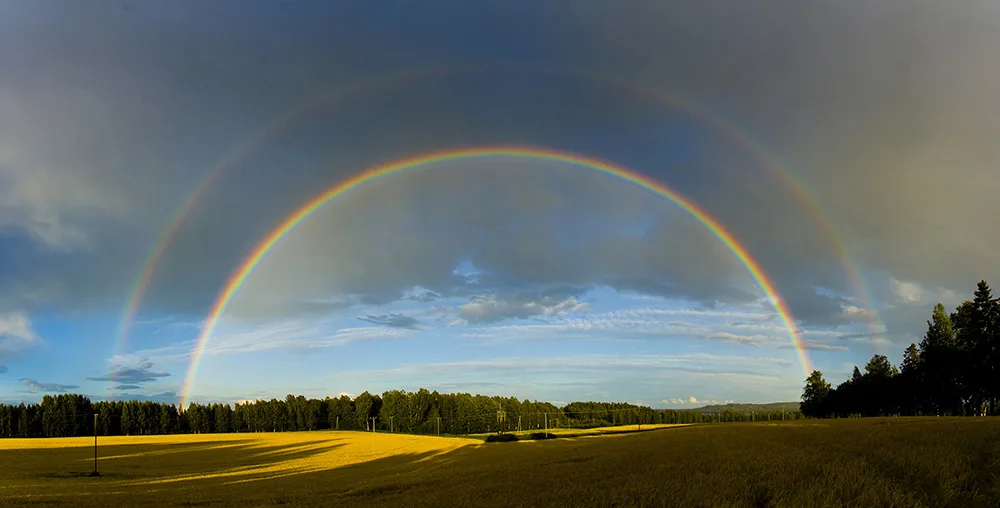 Over the Rainbow