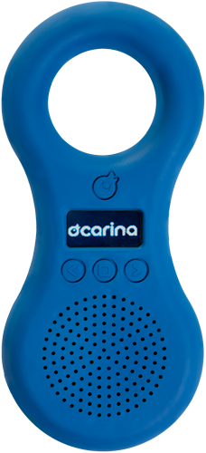 Ocarina Player Special Edition Sleep